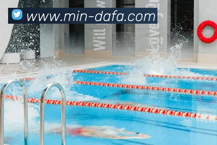 大发娱乐平台生态图